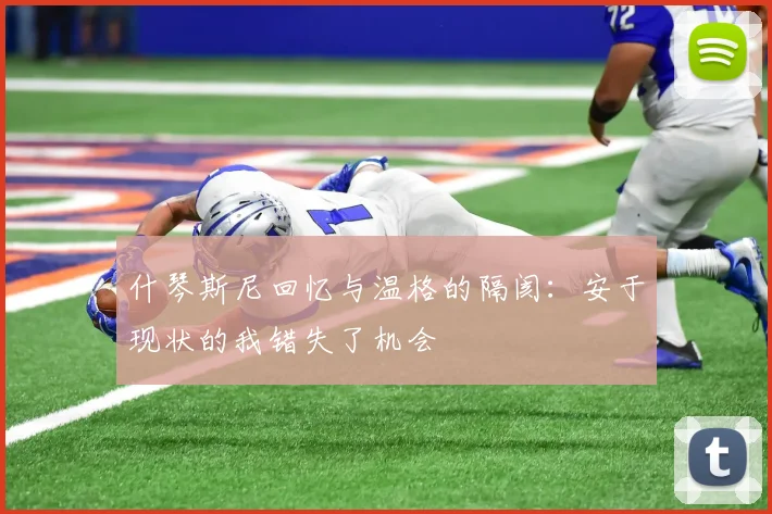 什琴斯尼回忆与温格的隔阂：安于现状的我错失了机会
