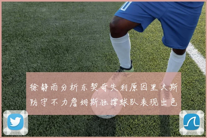 徐静雨分析东契奇失利原因里夫斯防守不力詹姆斯独撑球队表现出色